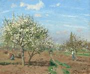 Orchard in  Bloom,Louveciennes (nn02) Camille Pissarro